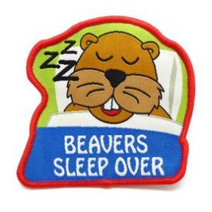Beaver Sleepover 6th of june